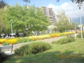 Parc Baia Mare